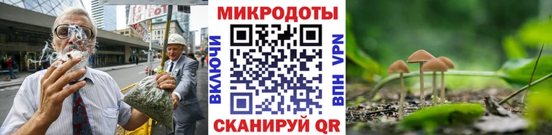 площадка какой сайт kraken tor Серпухов Псилоцибиновые грибы GOLDEN TEACHER